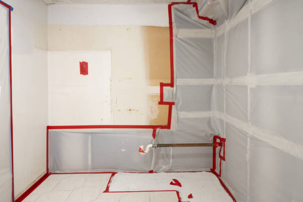 Best Crawl Space Mold Remediation  in Shelbina, MO